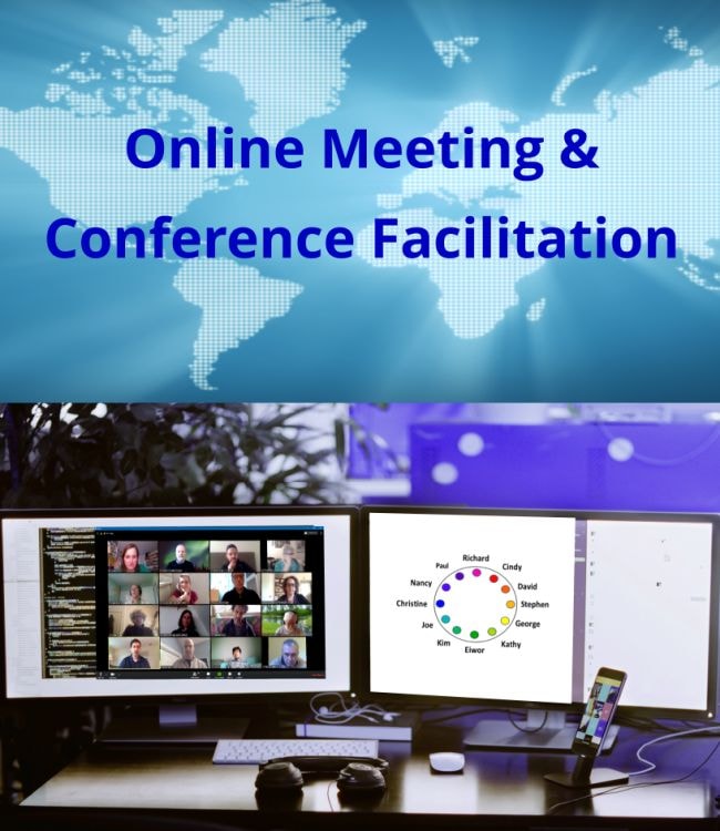 Online Conference Facilitation