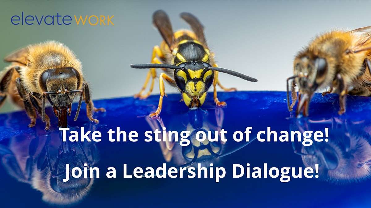 Dialogue - Take the sting out of change